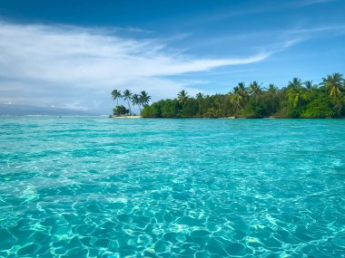 Maldives turquoise water landscape. Crystal sea, tropic palm trees, green island with white sand and blue sky. Amazing nature background. Concept of an ideal resting place. Popular tourist destination