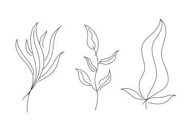 Leaves line design. Hand drawn outline for banner, card. Vector illustration