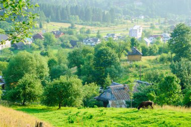 Bir inek bir dağ köyünün (Yaremcha, Ukrayna) arka planında otlar. Doğal otlaklar. Dağlık bir Avrupa köyünde açık güneşli bir yaz günü.