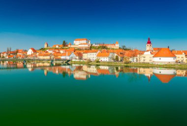 Ptuj - Mart 2021, Slovenya: Slovenya 'nın antik Slovenya kenti Ptuj' un panoramik manzarası suya yansıdı