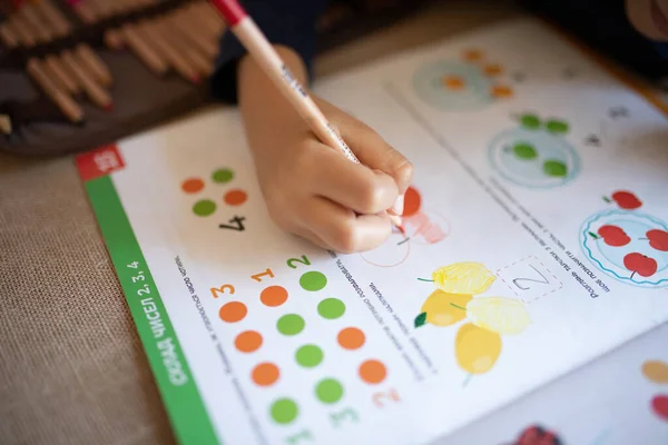 Child Going Homework Back School Home Education Home Studying Stationery — Stockfoto