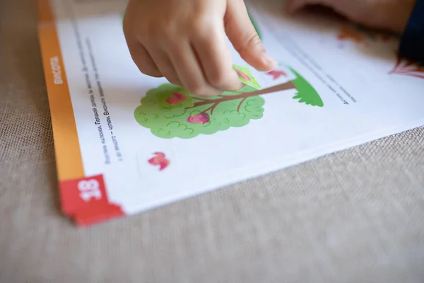 Closeup Kid Hand Sticking Sticker Workbook Home Education Home Studying — Stockfoto