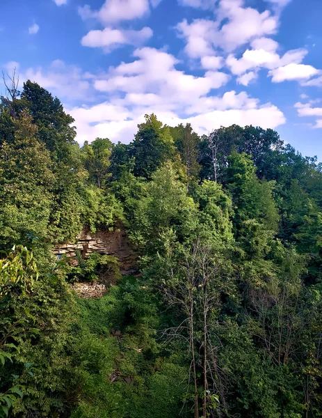 Small Cliff Visible Forested Rockface — Stock Photo, Image