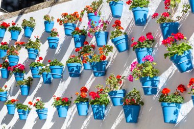 Aralık ayının güneşli bir gününde Marbella şehrinin güzel eski kasaba merkezi. Mavi saksıyla süslenmiş beyaz duvar.