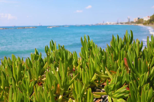 Güzel deniz manzarası