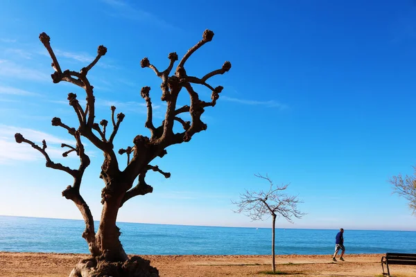 Parktaki göl manzarası çok güzel.