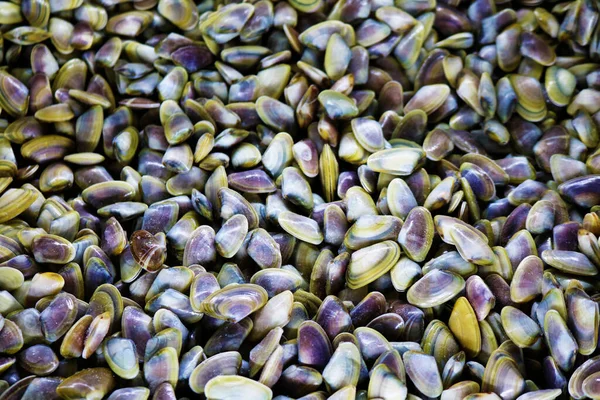 Kurumuş ayçiçeği çekirdeğine yakın dur.