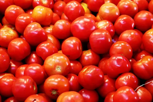 taze organik patates