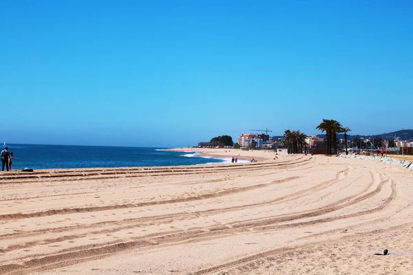 taze organik patates