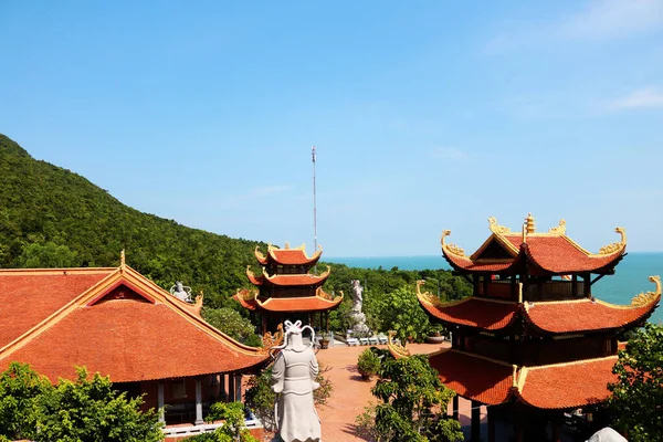 taze organik patates