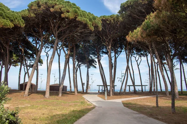 Parkın güzel manzarası