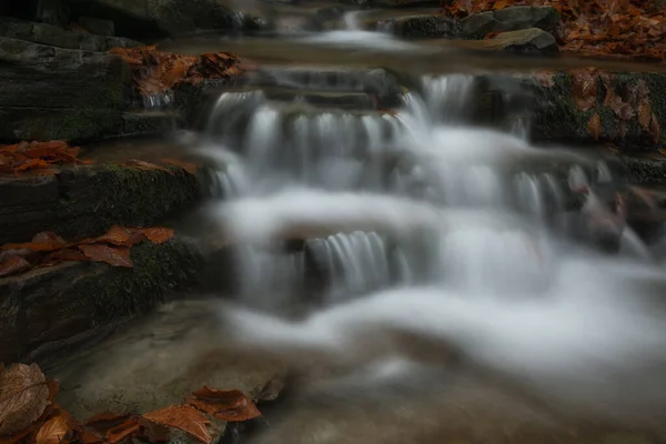 Cascada Bosque Verde — Foto de Stock