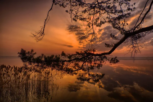 Sonnenuntergang Auf Dem See — Stockfoto