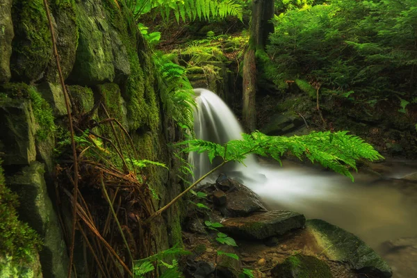 森林中美丽的瀑布 — 图库照片