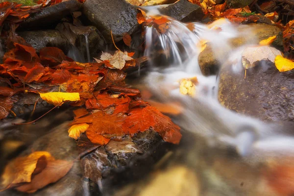 Autumn Landscape Stream Leaves Red Yellow Colors Rocks Forest — 图库照片