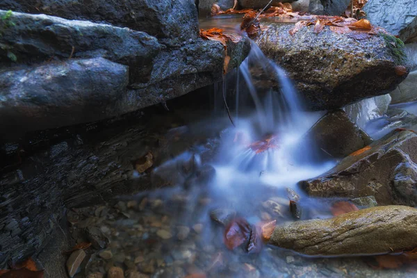 Small River Forest Autumn — Φωτογραφία Αρχείου