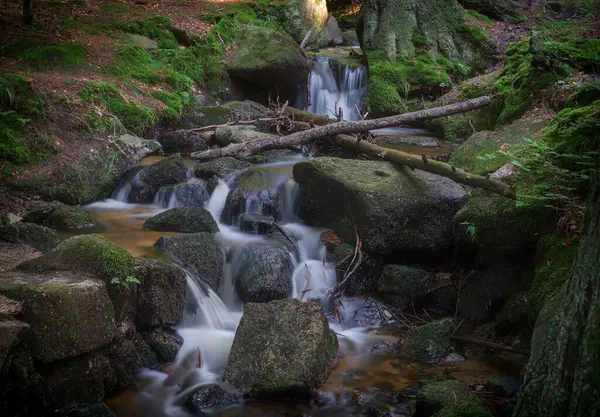 春季森林的美丽瀑布 — 图库照片
