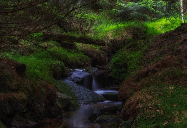 Waterfall Forest Background Mountains — Fotografia de Stock