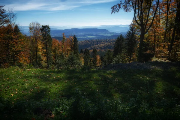 秋の風景秋の季節 夕方の山の森 — ストック写真