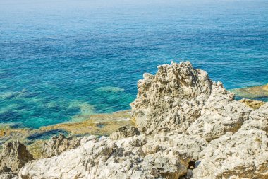 Korfu kıyısı Yunanistan kıyı resifi