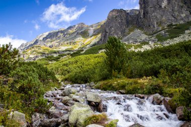 Mlynica stream, near by waterfall Skok Vysoke Tatry (High Tatras, Slovakia, Europe). HD wallpaper, 4k Green background