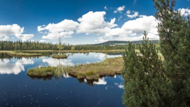 Beautiful panoramic view of Chalupska Slat ,Borova Lada, National park Sumava, Czech Republic, Europe