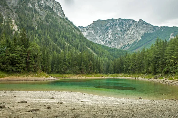 Gruner See Green Lake Στυρία Αυστρία Ευρώπη Ταπετσαρία Πράσινο Φόντο — Φωτογραφία Αρχείου