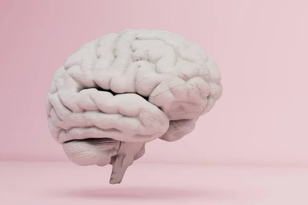 Concept Intelligence Artificielle Avec Modèle Cerveau Flottant Rendu — Photo