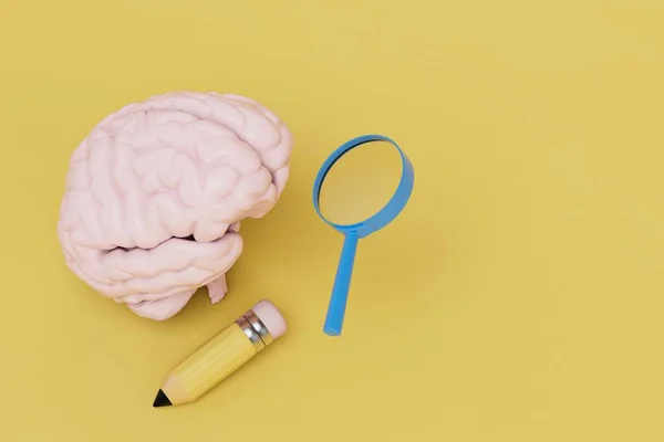 Την Έννοια Της Εκπαίδευσης Εγκέφαλος Μολύβι Και Μεγεθυντικός Φακός Κίτρινο — Φωτογραφία Αρχείου