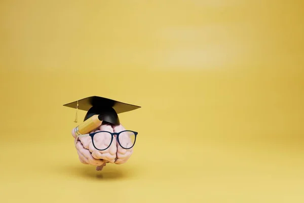 Bilgi Edinme Kavramı Mezuniyet Şapkalı Bir Beyin Sarı Arka Planda — Stok fotoğraf