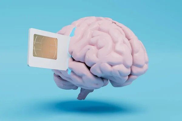 memorization of information from a SIM card, a chip in the brain. the brain into which a SIM card is inserted. 3D render.