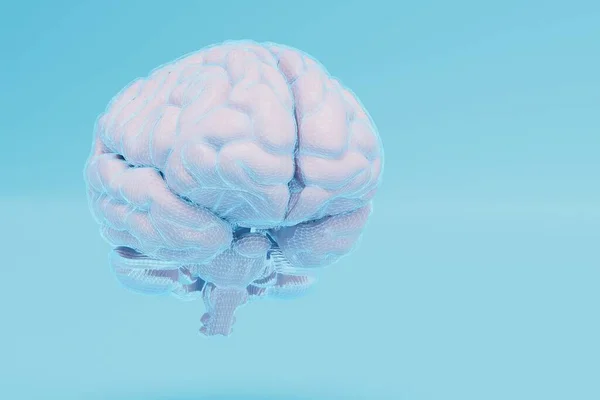 Cerveau Avec Une Grille Connexions Neuronales Éclairées Par Lumière Bleue — Photo