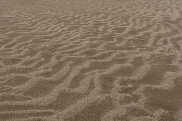 Aerial View Sand Dunes Empty Beach Sunny Day — Stockfoto