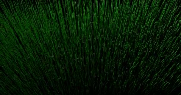 有機的な動きを持つ濃い緑の芝生のフィールドに落ちる水の背景 3Dアニメーション — ストック動画