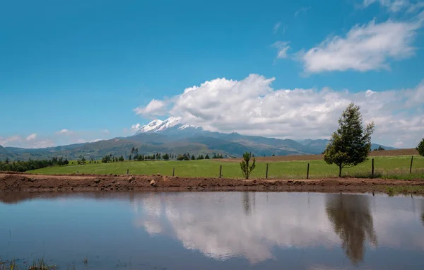 在阳光明媚的早晨和蔚蓝的天空中在泻湖中反射的播种场背景下的开曼贝火山全景 厄瓜多尔 — 图库照片