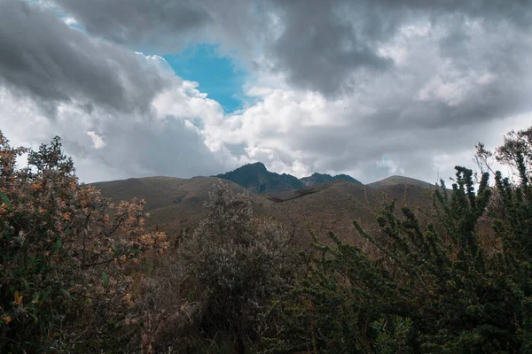Landscape Cotopaxi National Park Green Trees Ruminahui Volcano Mountains Cloudy — ストック写真