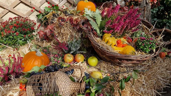 Abundance Basket Holiday Seasons — Stock Photo, Image