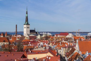 Rooftops in the old town of Tallinn in Estonia