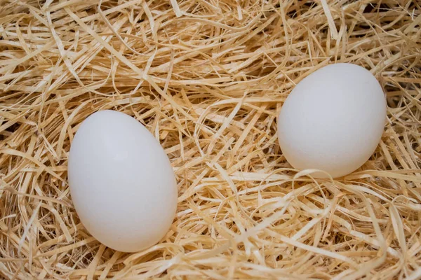 Άσπρα Αυγά Κοτόπουλου Κοντινό Άχυρο — Φωτογραφία Αρχείου