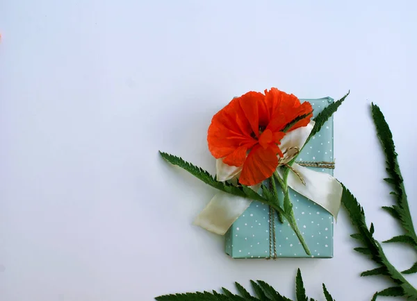 Gift with poppy flower in the middle with green leaves on a light background