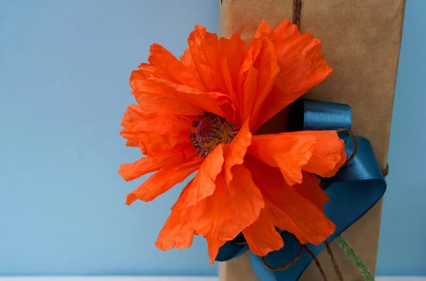 Gift with poppy flower on blue background