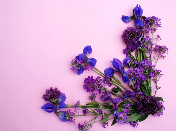 Violet and blue flower arrangement on pink background