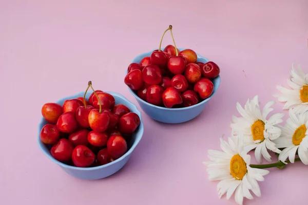 Ripe cherries in a blue bowl on a pink background with daisies
