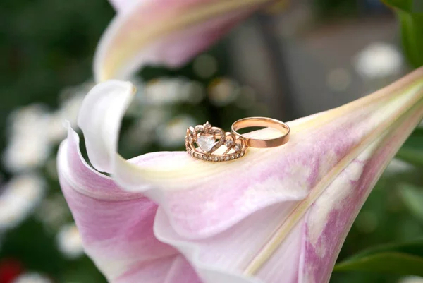 Golden engagement and wedding rings on a rose lily flower in the garden in summer