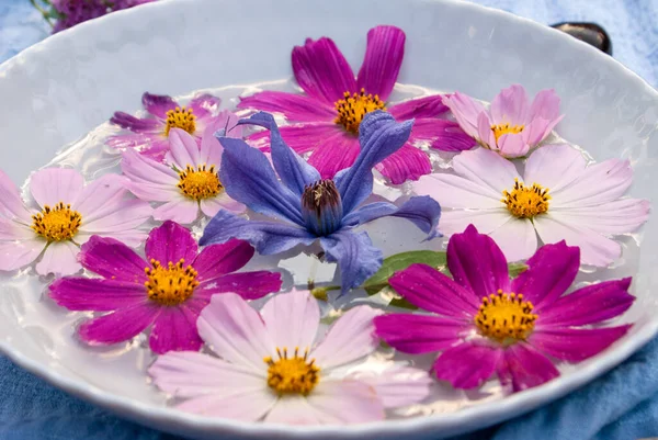 Cosmos and clitis flowers in a bowl of water