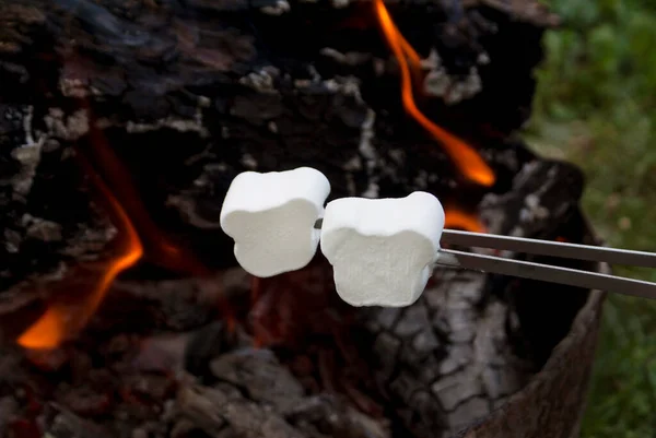 White marshmallows on metal sticks against the background of a fire in the evening