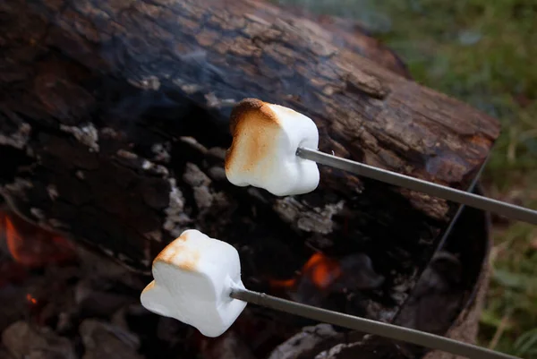 White Marshmallows Metal Sticks Background Fire Evening — Stockfoto