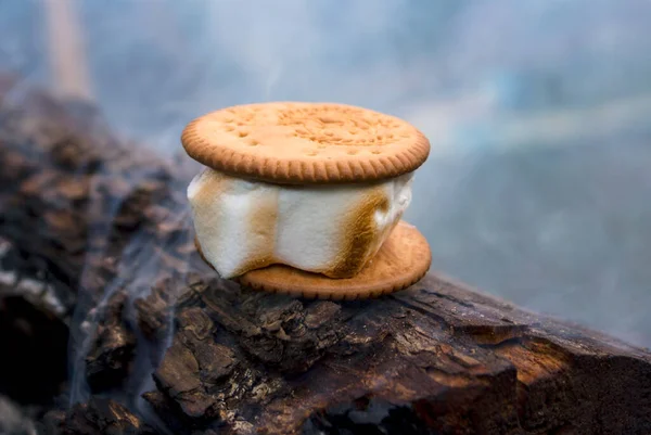 Toasted marshmallows with cookies on a log among the smoke on the street in the evening