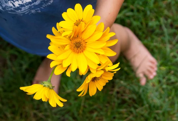 A bouquet with yellow daisies in the hand of a child in a blue T-shirt in the yard during the day