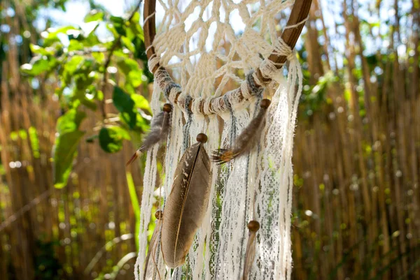 Dream Catcher Crocheted Threads Wooden Base Decorated Lace Threads Feathers — ストック写真